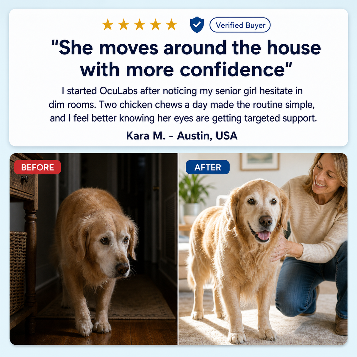 Vision Support Bites