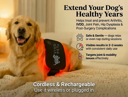 Vivo Pet Red Light Pad