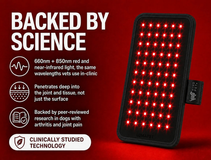 Vivo Pet Red Light Pad