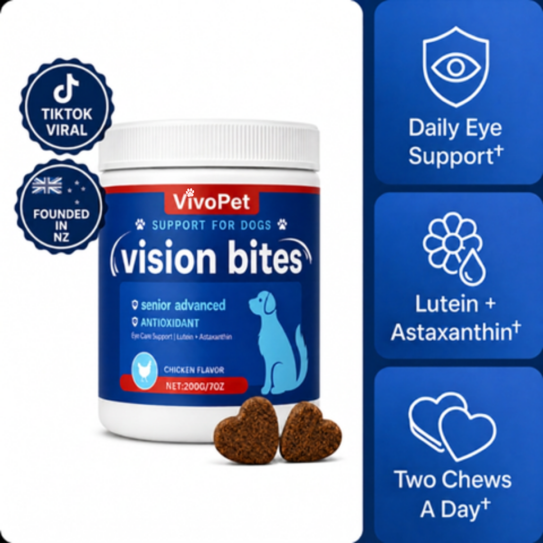 Vision Support Bites