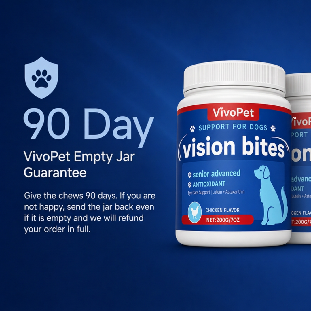 Vision Support Bites
