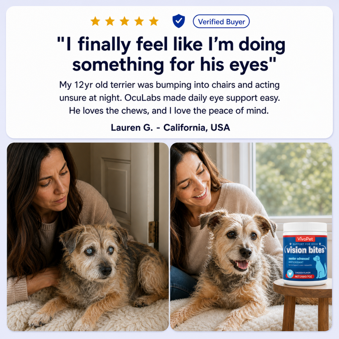 Vision Support Bites
