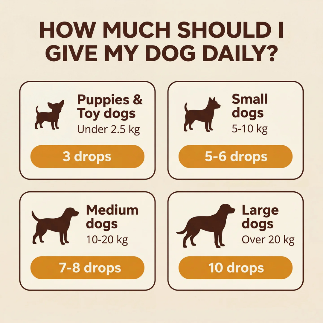 Vivopet Yeast Reset + Itch Relief Drops