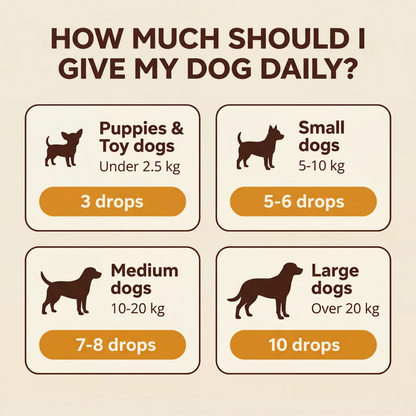 Vivopet Yeast Reset + Itch Relief Drops