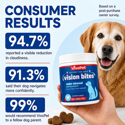Vision Support Bites