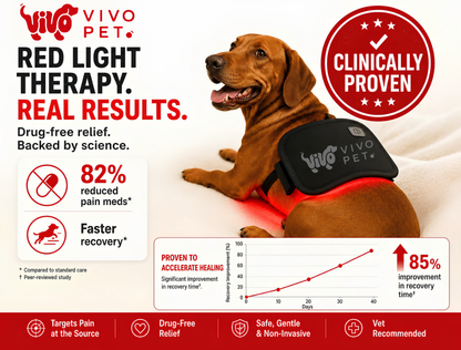 Vivo Pet Red Light Pad