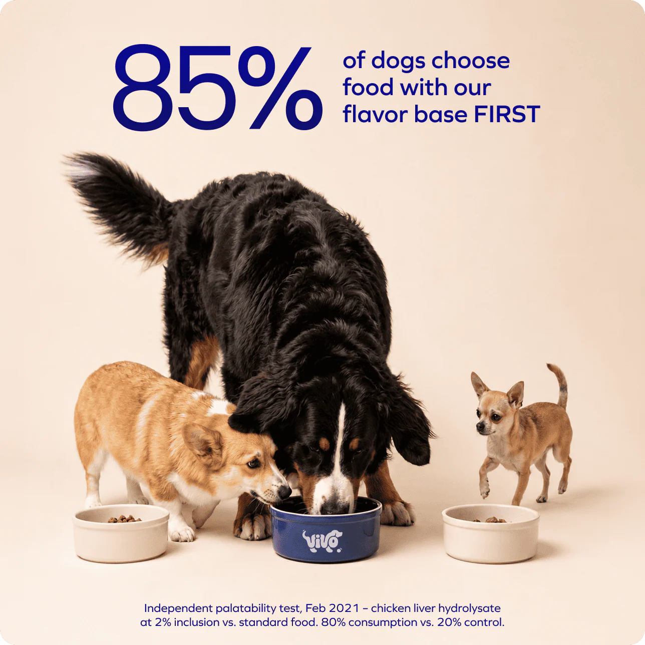 VIVOPET – the complete 4-layer liquid formula for aging dogs