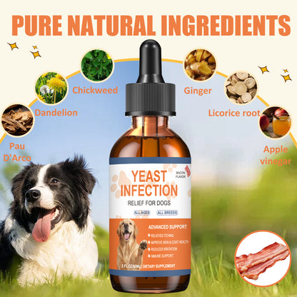 Vivopet Infection Treatment