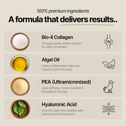 Joint Serum Complex® for dogs