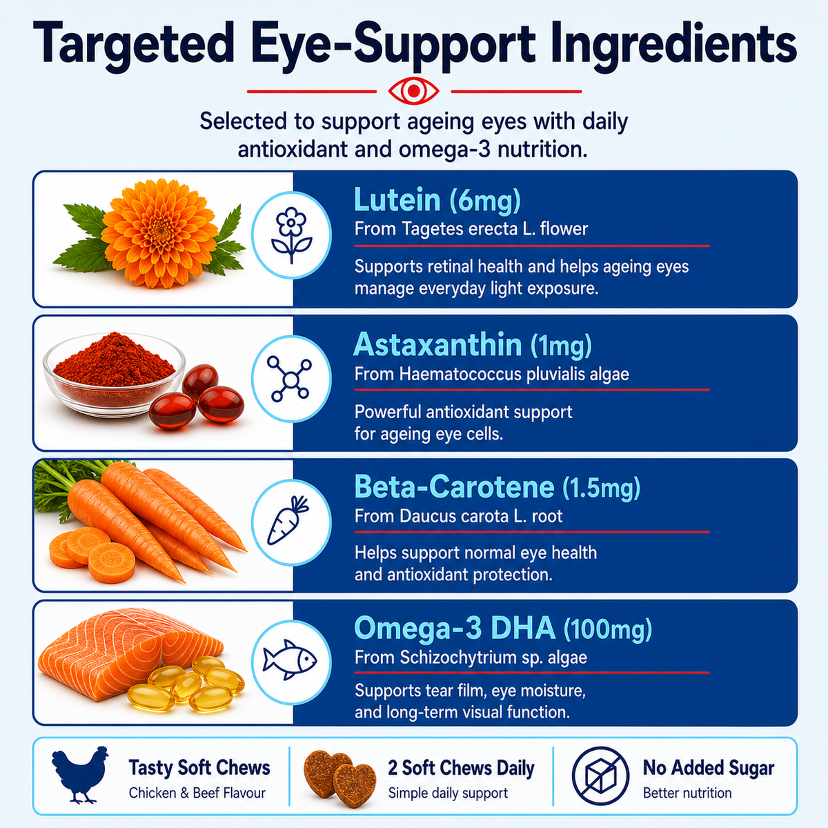 Vision Support Bites