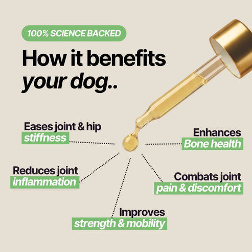 Joint Serum Complex® for dogs