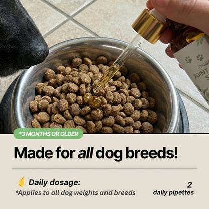 Joint Serum Complex® for dogs