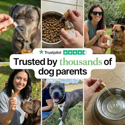 Joint Serum Complex® for dogs