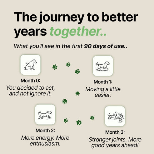 Joint Serum Complex® for dogs