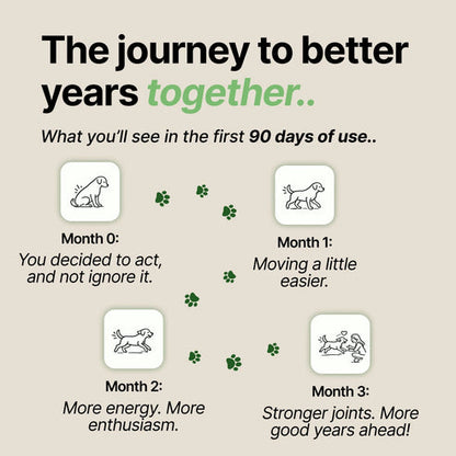 Joint Serum Complex® for dogs