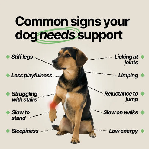 Joint Serum Complex® for dogs
