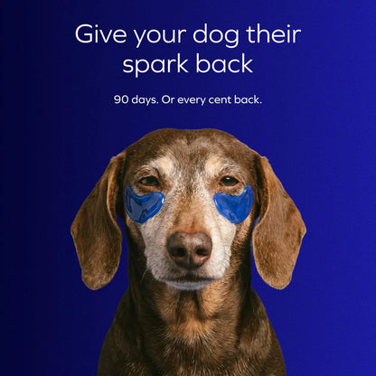 VIVOPET – the complete 4-layer liquid formula for aging dogs